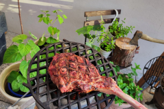 Tomahawk Steak 
